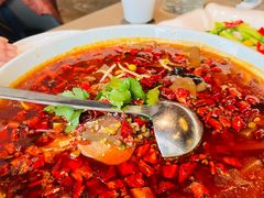 -望乡楼上海菜(日月光店)