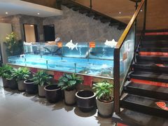 -饭怕鱼(阳光100店)