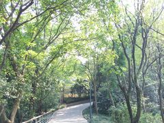 -西湖风景区-江洋畈生态公园