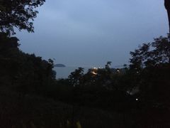 -上海市保健医疗中心(华东疗养院)