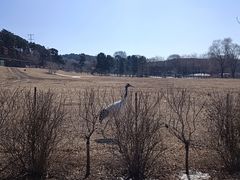 -沈阳森林动物园