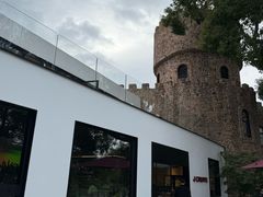 -J Create城市露营咖啡·简餐·宠物(上海动物园店)