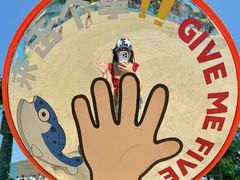 -秦皇岛乐岛海洋王国