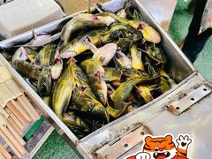 -老船夫石锅苗苗鱼·老字号(三道堰总店)