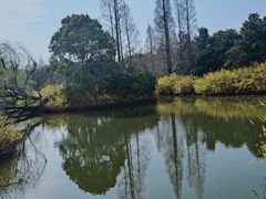 -上海滨江森林公园