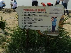 -武清南湖绿博园