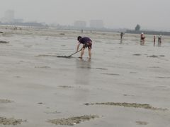 -红树林天天赶海