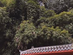 -乌尤寺