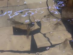 -小象钓虾·营地烧烤(洛溪店)