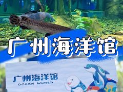 -广州海洋馆