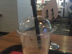 -油梨树 AVOCADO TREE(亮马桥店)