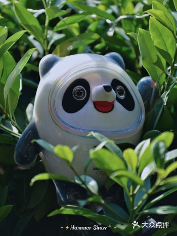 冷到头掉的倒春寒️不如在这里等冰雪消融️