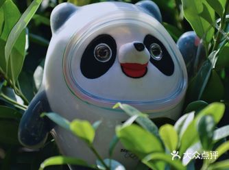 冷到头掉的倒春寒️不如在这里等冰雪消融️