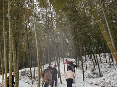 -紫金山天文台