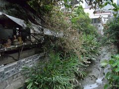 -小洲村