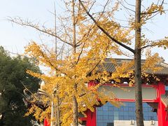 -四川大学(望江校区)