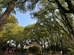 -天一阁博物院