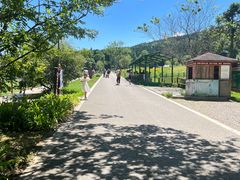 -武陵山森林公园