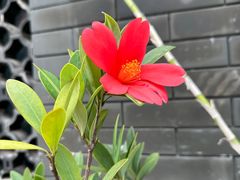 -三溪村