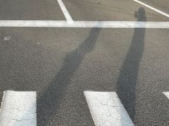 -大望京公园