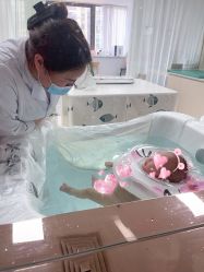 -敦南舒悦月子会所(南湖店)