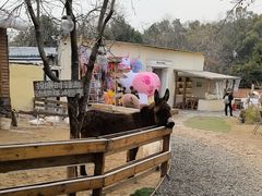 -HERRE·FARM 赫尔露营农场·团建聚会包场