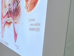 -自然之声助听器·呼吸机(康桥旗舰店)