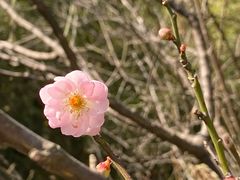 -草庵摩尼教遗址公园