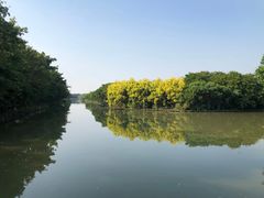 -大湾区中央湿地公园