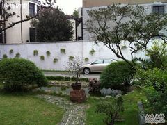 小景观-大可堂普洱茶馆(襄阳南路馆)