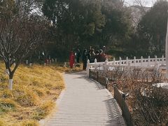 -丰台花园