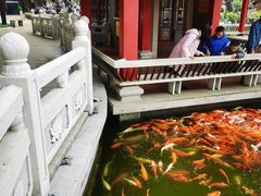 -广东圆玄道观