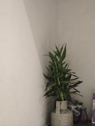 -香秀空间科技抗衰·美容中心