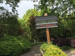 -九曲溪竹筏码头