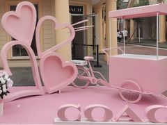 -COACH蔻驰(赛特奥特莱斯店)