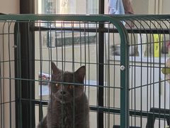 -美美宠物诊疗中心·异宠·骨科(滨江东信分院)