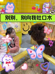 -神奇动物撸宠馆·羊驼·小浣熊·异宠(豫园店)