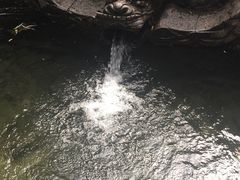 -竹泉村旅游度假区