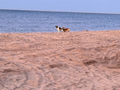 -碣石国家级海洋公园