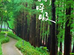 -顺峰山公园