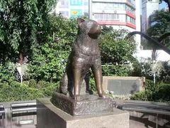 -帝京日语(春熙路旗舰校区)