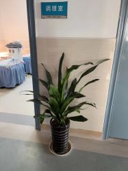 -南闸医院月子中心