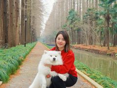 -上海怡沁园度假酒店