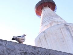 -妙应寺白塔