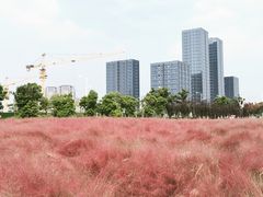 -映月湖中央公园