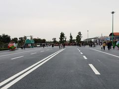 -荷兰花海