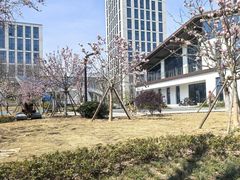 -后襄河公园