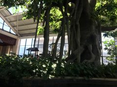 -太白山御龙湾温泉