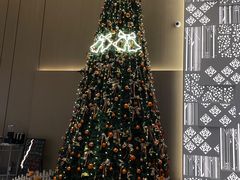 -深圳光明希尔顿花园酒店
