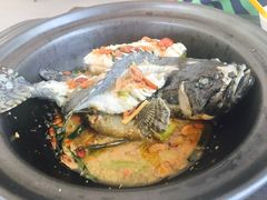 -真浪大家乐海鲜餐馆